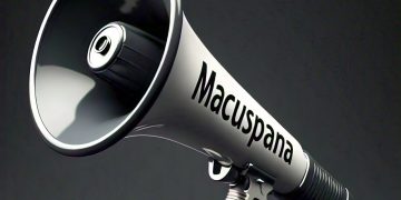 Órdenes desde Palenque