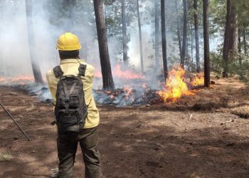 Incontrolables los incendios forestales ya son 11 en 6 municipios