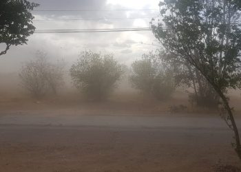 Alerta Protección Civil por baja visibilidad en tramos carreteros a causa del viento