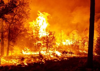 Imbatibles ocho incendios forestales en cinco municipios